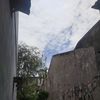 leazynopal