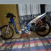andira.cp