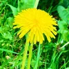 rainbow_color_0117