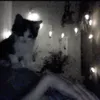 qwllowix