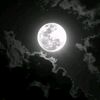 ammar66917