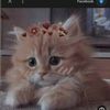 abdullahdy_