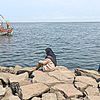 _putriayusobrina