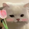 hhhh_0708