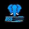 BSS AUDIO REBORN