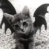 tiegan.l
