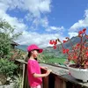 máy và dụng cụ pha chế