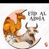 halimaoke205