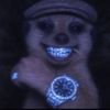 daddy_perry1616