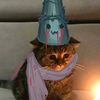 balmorphious