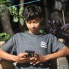wisnu_cnx