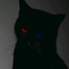 rexx_2211