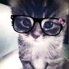 ntsyaa26_