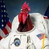 astronaut_chicken