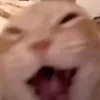 dgbghx
