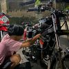 vian_pk