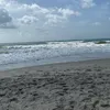 beachbum103