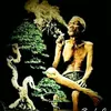www.tiktok.comcalonmayit
