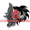 8goldfishandbettafish
