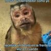 angelesperesaskdkdjdjwkw