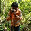 arisaputra_94