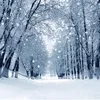 snow123456789102