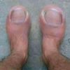 dy6wpnhtt3fn