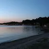 bolchevik56