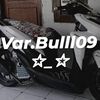 varbulll09_