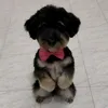 monnie987