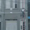 euler392439954495