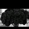user219881299163