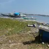 sulmira85