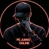 PEJUANG ONLINE