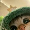 someone.to_talk28