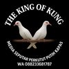 thekingofkung