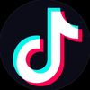 tiktokverificationagen13