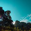 el_day77