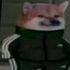 edu...fs