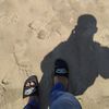 repy_t16