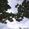 senja.c4ntik_
