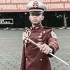 silvy8_