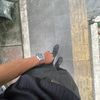 okbgfyib