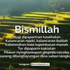 budewati236