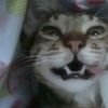 ginrull28
