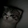 badutmu_579