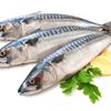 ikangorengpeda