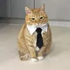 mhth.ht