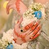 hirasheikh29_
