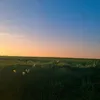 rose_wolfstar